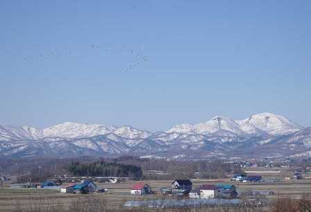 新十津川駅